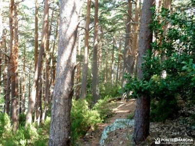 Parque Moncayo; Tarazona;Veruela; guia de senderismoparque natural andujar vias pecuarias comunidad 